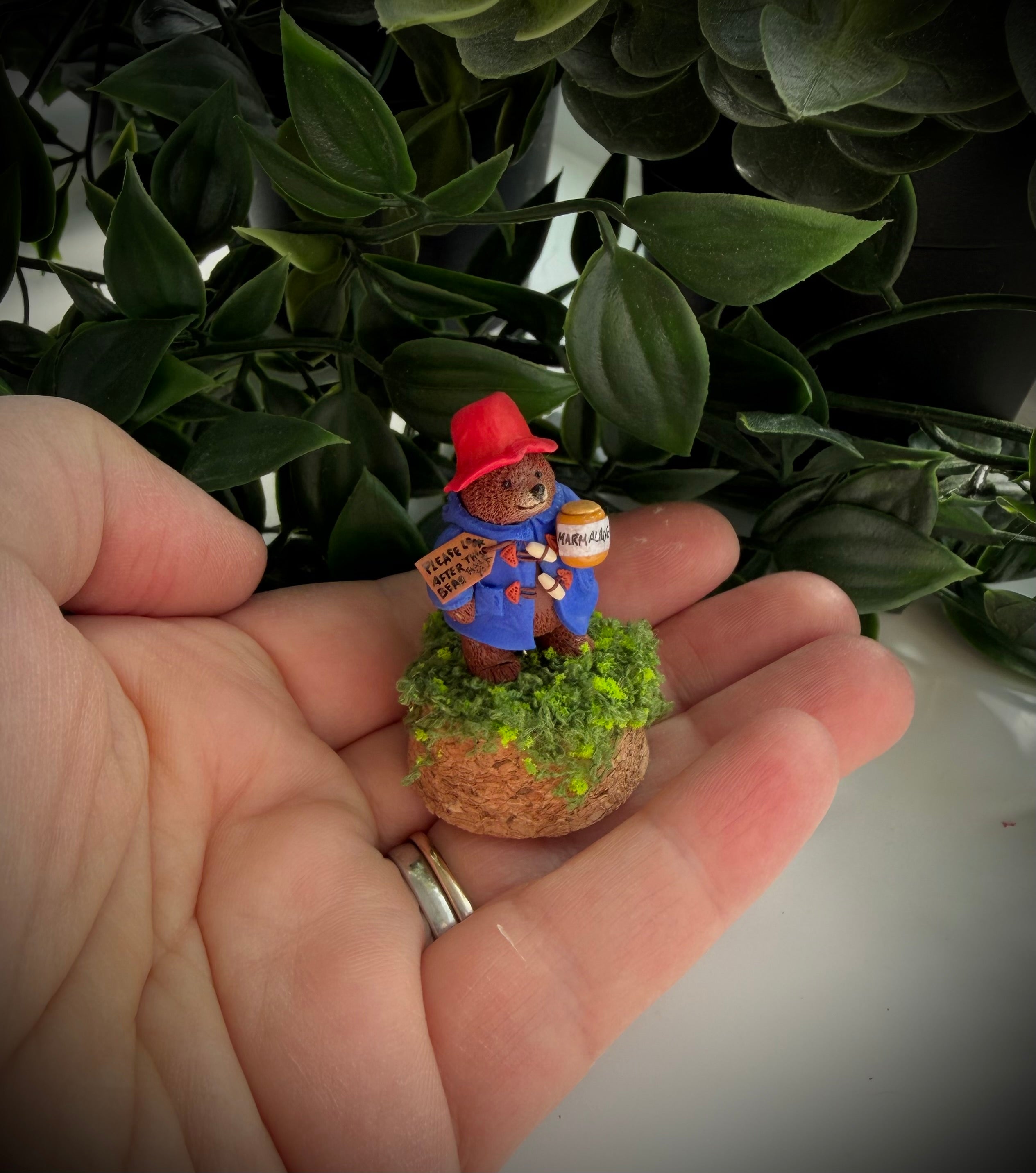Paddington PRE ORDER