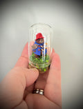 Paddington PRE ORDER