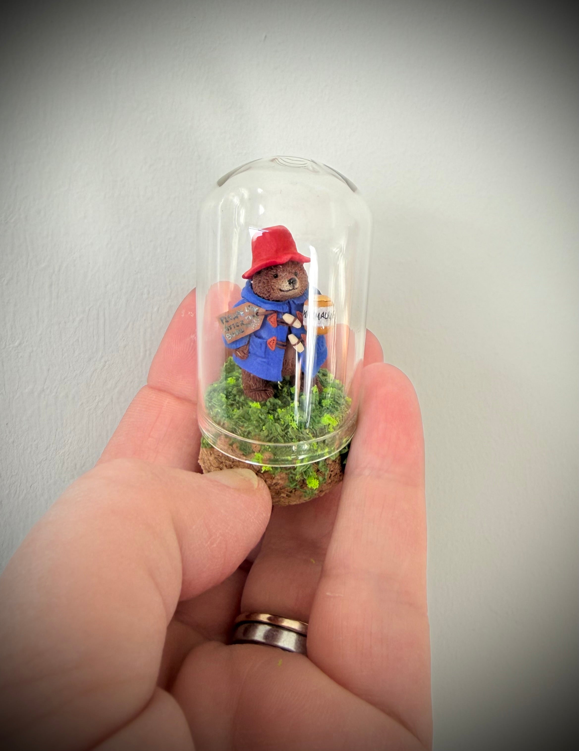 Paddington PRE ORDER